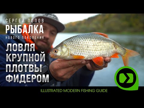 Ловля крупной плотвы фидером / Рыбалка нового поколения