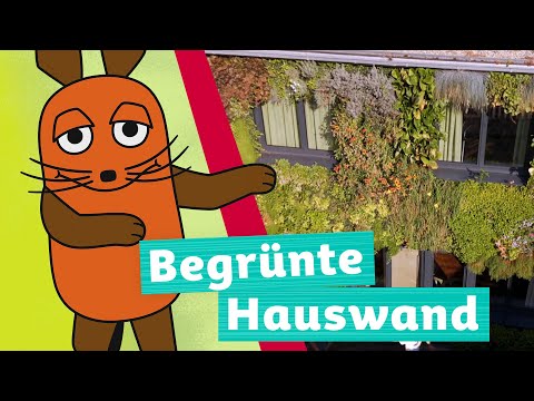 Wie helfen Grünflächen eine Stadt herunter zu kühlen? | Die Maus | WDR