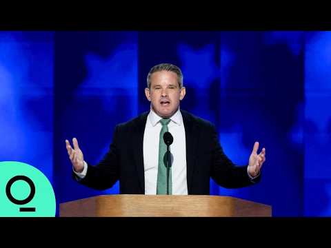 Adam Kinzinger's Full Speech at DNC in Chicago