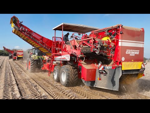 Kartoffelernte & Kistenlagerung Großeinsatz mit Traktoren & Kartoffelroder farmer harvests potatoes