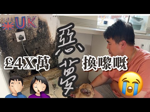 ［新屋惡夢] 廚房埲牆濕晒發晒霉 • 惡夢一個接一個￼￼ 11/10/2025