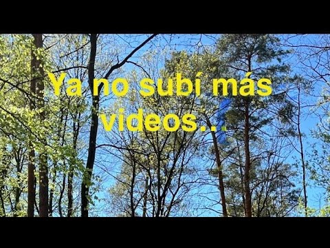 Mi aprendizaje de los pasados meses en la programación 👩‍💻 🇩🇪 #reupload