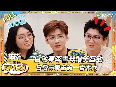 EP120期沉浸版：白敬亭李雪琴爆笑互动！ |《毛雪汪》 FULL #综艺 #毛雪汪 #李雪琴 #毛不易 #白客 #大鹏