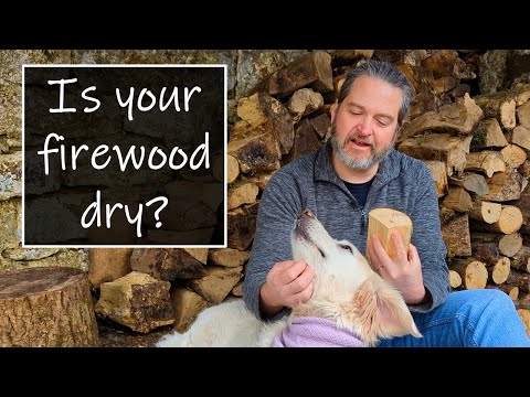 The right way to check your firewood - don't fall for these myths!