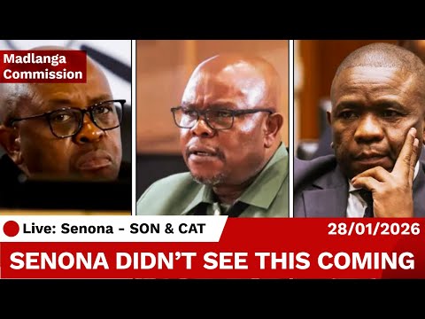 Senona Caught Off Guard! Commissioners ask HARD QUESTIONS as Son–Matlala Claims Surface!