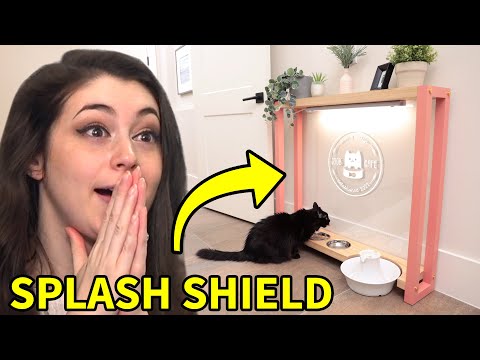 DIY Cat Feeding Station (with splash shield)