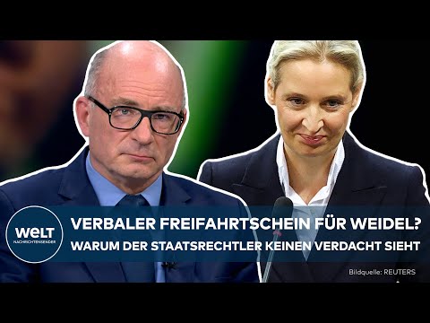 Alice Weidel und die Nazi-Parolen: Experten warnen nach Angriff auf den Verfassungsschutz