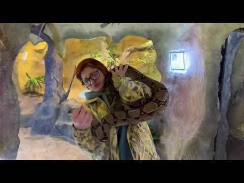 Snake wedding! We're expecting a new addition!