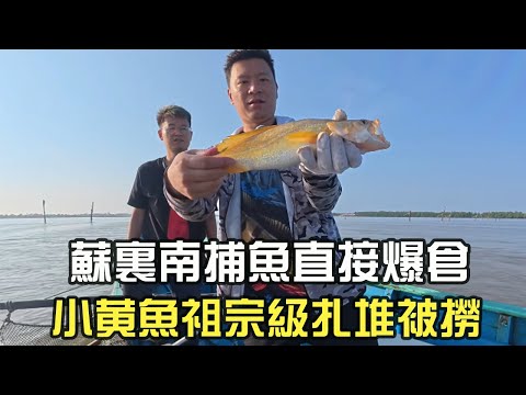 Fishing in Suriname is a total frenzy! Small yellow croakers, the king of catches, are being haul...