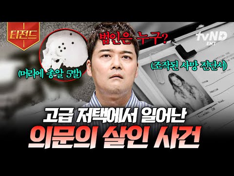 [#프리한19] 진범은 어디에? 전 세계를 혼란에 빠지게 한 📁𝗙𝗜𝗟𝗘 : 미스터리 사건 | #티전드