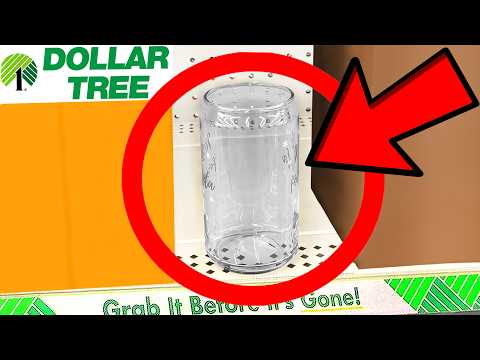 10 Things You SHOULD Be Buying at Dollar Tree in November 2025