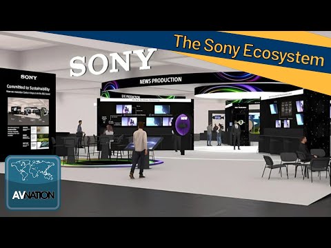 Exploring The Sony Ecosystem | AVNation Special