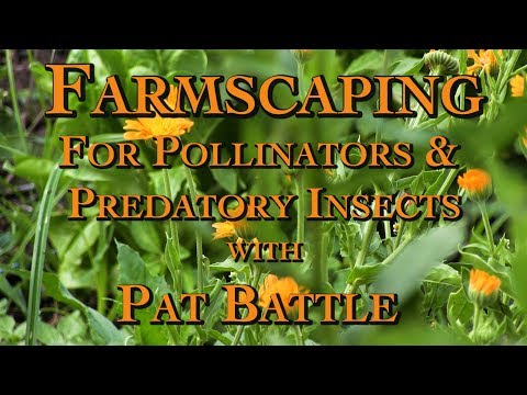 Farmscaping for Pollinators & Predatory Insects