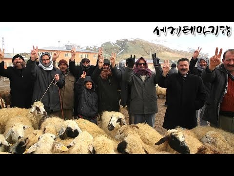 [세계테마기행] 터키, 숨겨진 옛도시를 걷다 1~4부