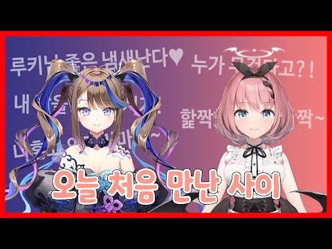 저기 두 분, 서로 합방 처음인 거 맞죠?