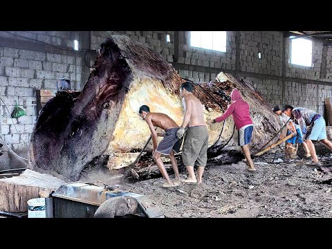 Kayu trembesi alas purwo yang mengerikan dibeli puluhan dolar Mr kan dari jepang  !! digergaji Sawmi