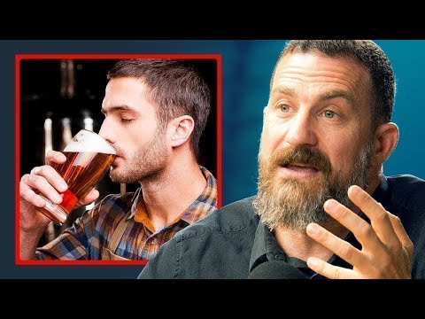 Why Drinkers Don’t Like Non-Drinkers - Andrew Huberman