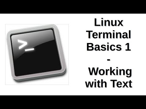 Linux Terminal Basics 1 | Working with Text