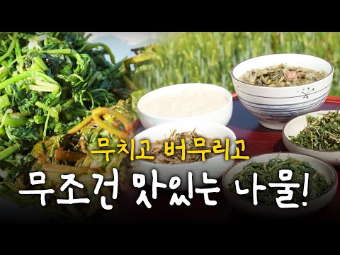 무치고 버무리고 무조건 맛있는! 한국인의 나물밥상 | KBS 220526 방송