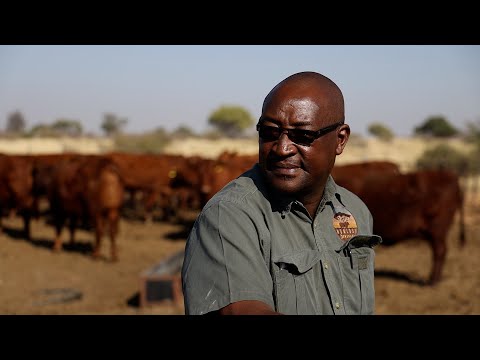 Cattle Breeder Duncan Serapelwane - Ama Fama EP02 2025