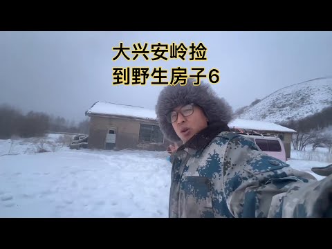 大兴安岭捡到野生房子，报纸贴好炕席铺好，住好了邀请朋友们来哟 #旅行vlog #自驾游 #大兴安岭零下50
