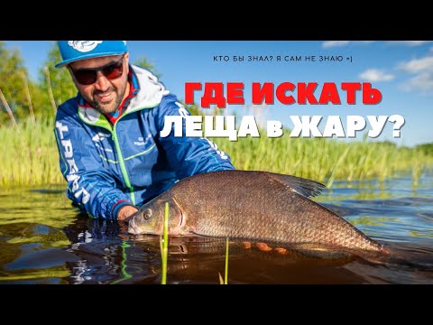 Где искать ЛЕЩА в жару?!  Рыбалка на фидер в английском стиле!
