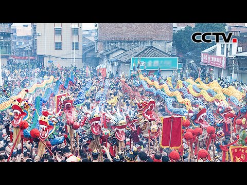 感受东方狂欢的魅力！体验一年中最热闹的宾阳炮龙节，寻找龙舞之魂 | CCTV「远方的家」20241001 畅游边疆（2）