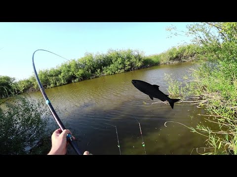 Я думал они удочку, пополам сломают. Вот это рыбалка.