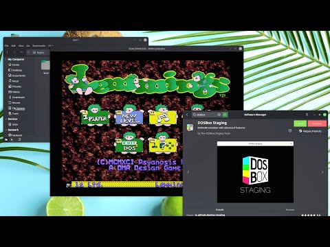 Install and use DOSBox in Linux Mint the easy way