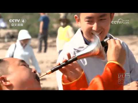 《远方的家》 20240212 山河锦绣看中国 黄河东岸 汾河之滨|CCTV中文