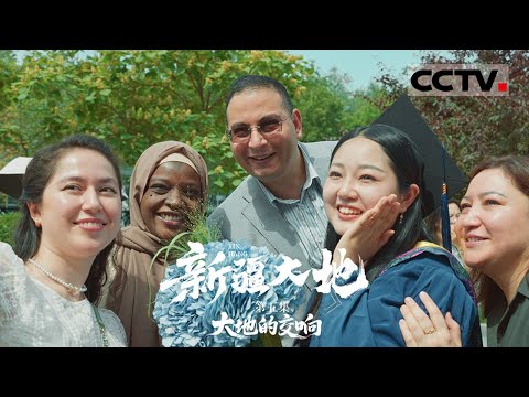 《新疆大地》05 大地的交响： 当丝路冒险化作日常川流 新丝绸之路上的新疆 正以开放姿态拥抱世界【CCTV纪录】