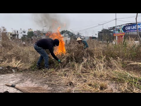 People are thrilled and amazed by the sidewalk's remarkable transformation after cleaning.