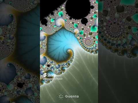 The Mysterious Edge of the Mandelbrot Set