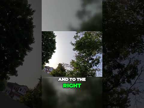 S99 MAX $30 Drone - It Can Do Flips!