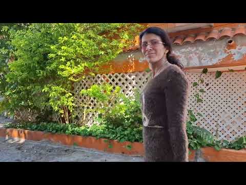 Monday Morning Mazatlan 