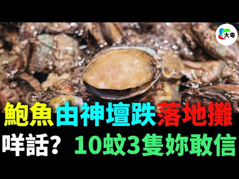 羊話?10蚊3隻妳敢信?!90%暴跌,頂級鮑魚死因曝光?鮑魚點解由神壇跌落地攤?!技術革命,發達象徵冇左?!工業化犧牲口感!!高端需求斷崖式蒸發!