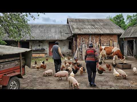 Happy old age of an elderly couple. This is what rural life looks like outside of civilization.