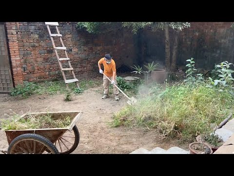 我的小院改造进化史（全过程）