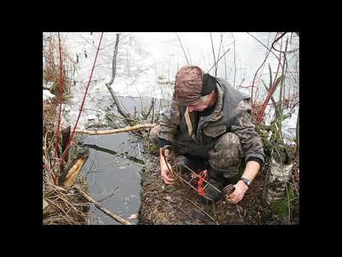 Охота на бобра  Установка КП   320