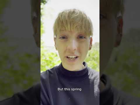 Berlin's oldest tree is getting hot