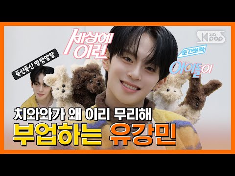HUAHUA created by VERIVERY KANGMIN HUAHUA #SnapCutenessWhatAnIdol