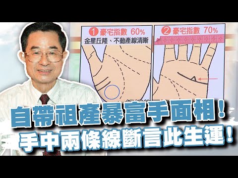 手中兩條線斷言此生運！自帶祖產的暴富手面相！(精選回顧)