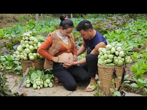 Harvesting bok choy from the garden, Cooking l Lý Thị Sai