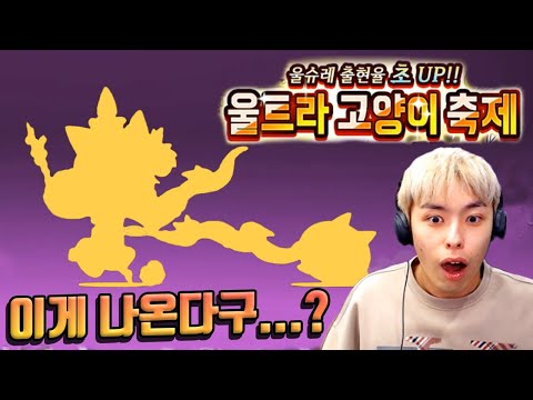 미친듯이 뽑히는 울슈레 ㅋㅋㅋ :: 냥코대전쟁