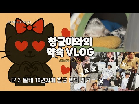 [창균이와의약속VLOG] EP 3. 탈케 10년차에 창균 입덕 계기 | 251103-251109 | #몬베베브이로그 | #덕질브이로그