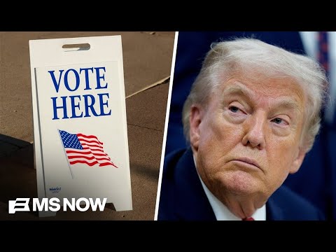 Trump will trust results of midterms ‘as long as his people are winning’: Ty Cobb