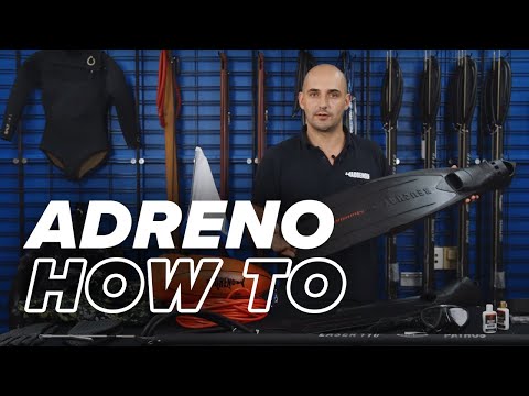 Spearfishing Gear You Need To Get Started | ADRENO