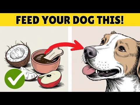 12 Human Foods That Are Actually Good For Your Dog | Most Owners Don’t Know
