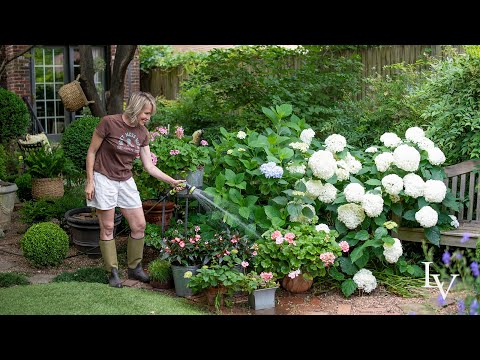 How I Water All of My Potted Plants!