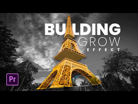 Building GROW Effect in Premiere Pro